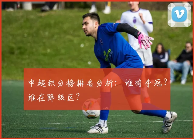 中超积分榜排名分析：谁将夺冠？谁在降级区？