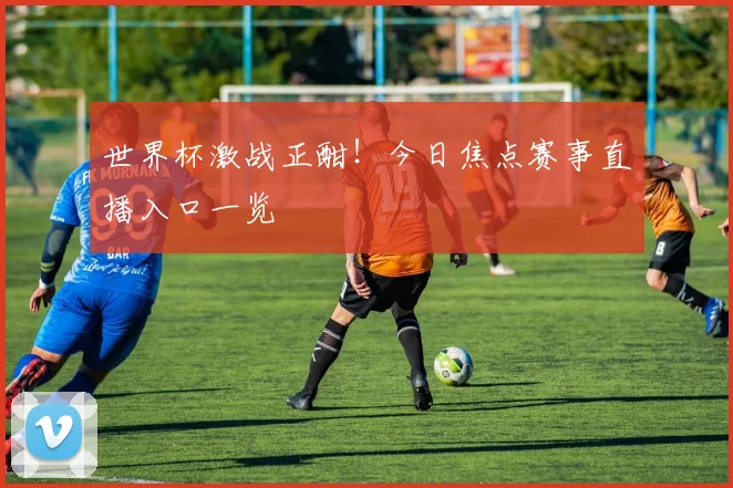 世界杯激战正酣!今日焦点赛事直播入口一览