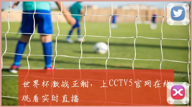 世界杯激战正酣，上CCTV5官网在线观看实时直播